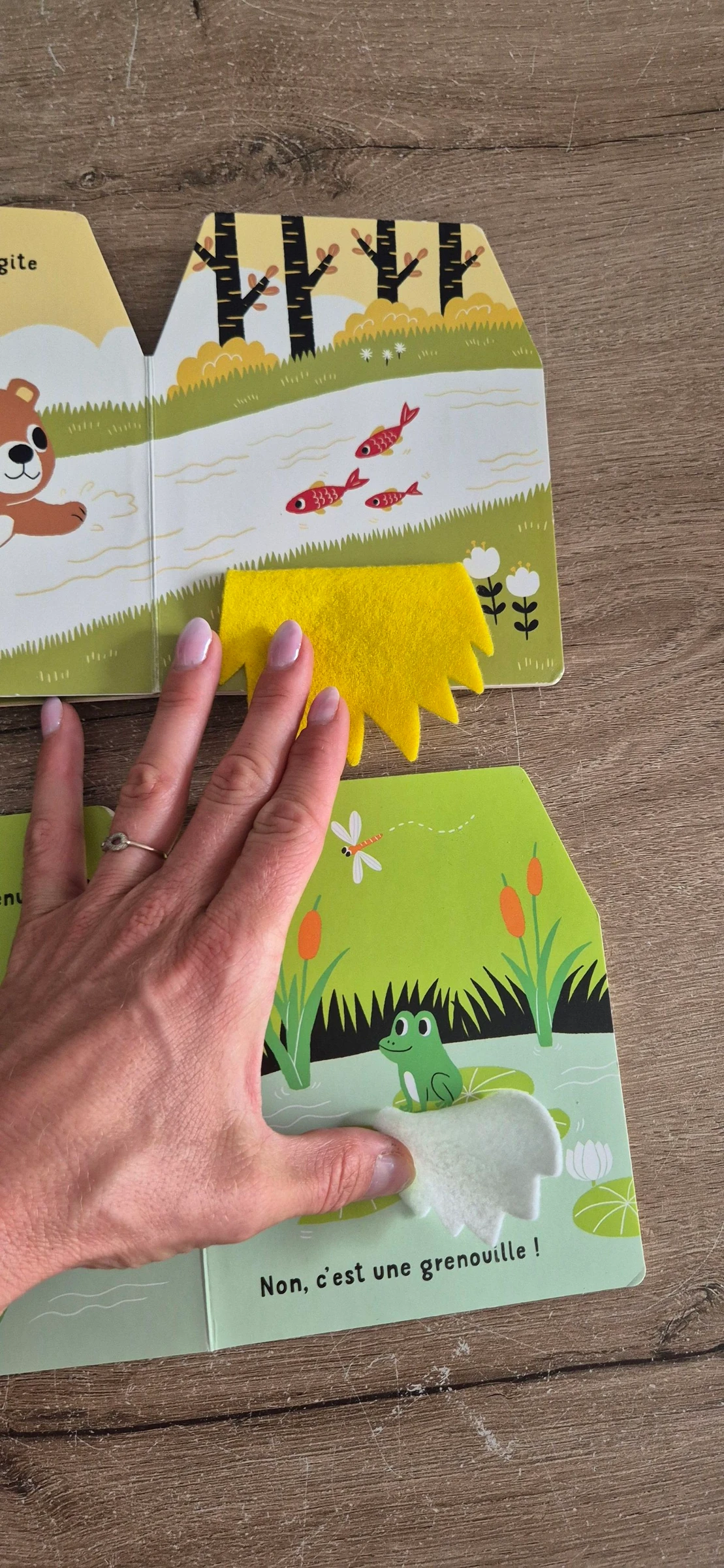 Lot de livros Cache-cache em feltro – photo 10